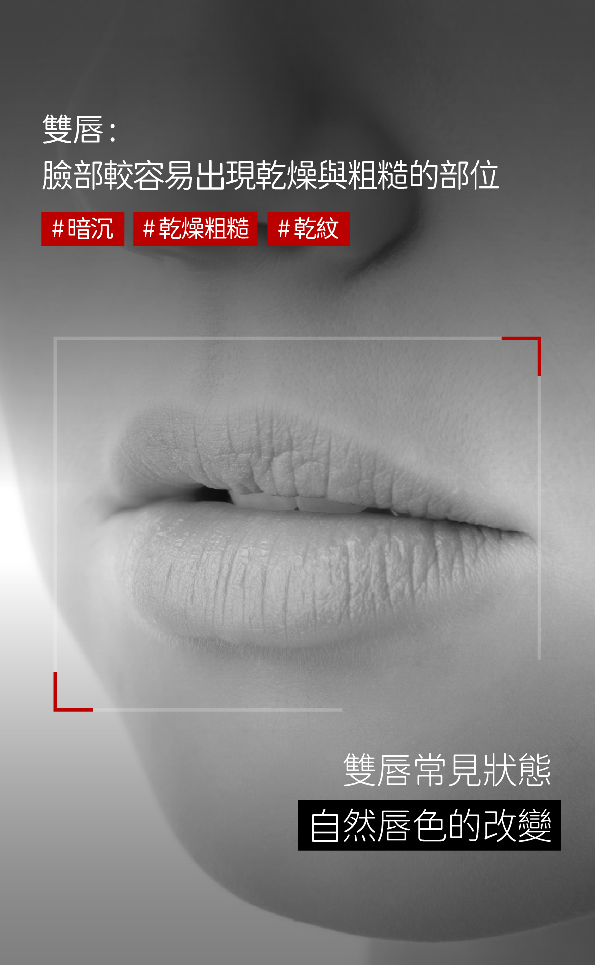 泌潤果凍雙效唇萃 商品詳情圖2 01 1